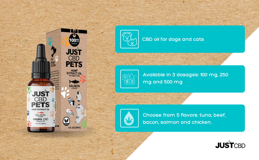 infograph salmon cbd oil for pets
